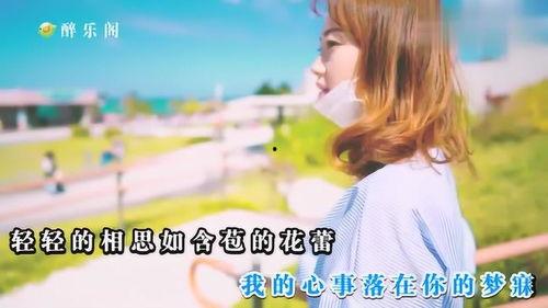 娱乐吃瓜小阿酱小说,揭秘娱乐圈背后的秘密瓜田