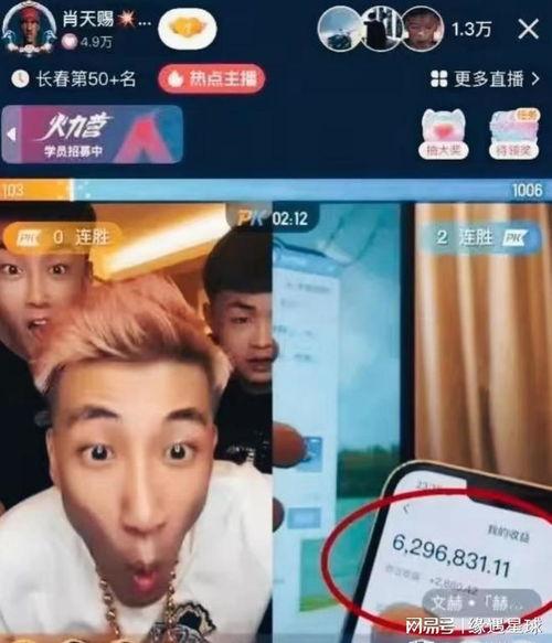 网红收入一直播,网红收入揭秘，一直播引领潮流