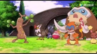 搞笑视频比卡丘,萌宠的欢乐日常